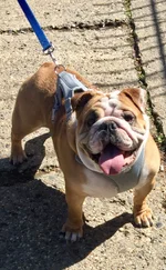 Oliver March 2020.webp Oliver March 2020.webp