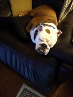 Sleeping.jpg Sleeping.jpg