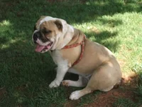 martha 009.webp
