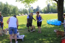 IMG_3645.JPG IMG_3645.JPG