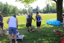 IMG_3645.webp IMG_3645.webp