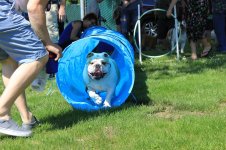 IMG_3703.JPG IMG_3703.JPG
