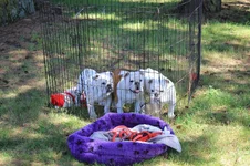 IMG_3722 (1).webp IMG_3722 (1).webp