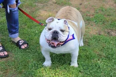 IMG_3731.webp IMG_3731.webp