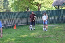IMG_3811.JPG IMG_3811.JPG