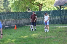 IMG_3811.webp IMG_3811.webp
