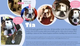 tia.webp