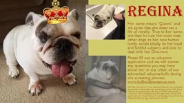 regina.webp