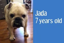 jada.webp