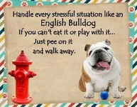 Bulldogs 1.webp