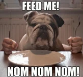 Bulldogs 3.webp
