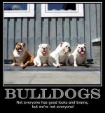 Bulldogs 6.jpg