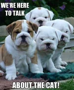 Bulldogs 22.webp