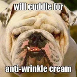 Bulldogs 24.webp