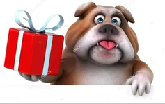 BullyBirthday1.webp