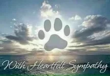Paws Sympathy.webp