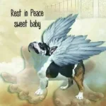 Peaceful bully baby.webp