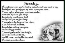Someday.webp