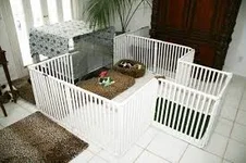 puppen2.webp