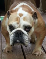 Katie2019 3.webp