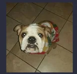 image1.webp image1.webp