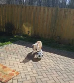 20190323_222252.webp