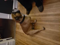 20181112_231523.webp