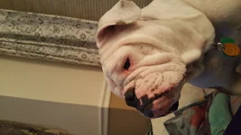 20190403_205812.webp