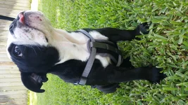 20180626_160857.webp
