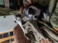 IMG_20190520_210830.webp