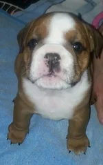Baby Gabe.webp Baby Gabe.webp