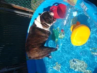 IMG_20180710_092534828.webp