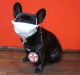 the nurse.jpg the nurse.jpg