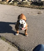 Coco New.webp Coco New.webp