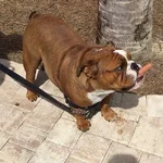 Gabe and a hotdog.webp