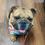00000PORTRAIT_00000_BURST20190609165611168-01.webp