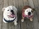 fred&wilma.jpg fred&wilma.jpg