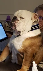 Asleep and snoring.webp