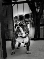 IMG_0045.jpg IMG_0045.jpg