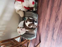 20190303_110000.webp