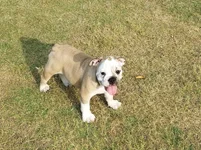 20190603_183833.webp 20190603_183833.webp