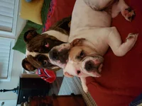 20190418_002301.webp