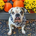 00000PORTRAIT_00000_BURST20191023162455193-01~2.webp