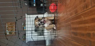 20190612_155032.webp