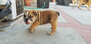 20190612_180739.webp