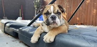 20190614_163901.webp