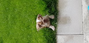 20190618_102223.jpg