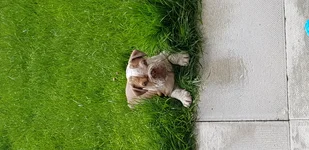 20190618_102223.webp