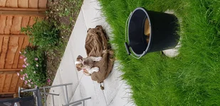 20190619_170416.webp