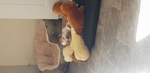 20190618_091434.webp